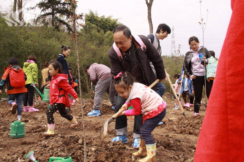 合景泰富& 加州陽光幼兒園春游活動(dòng)