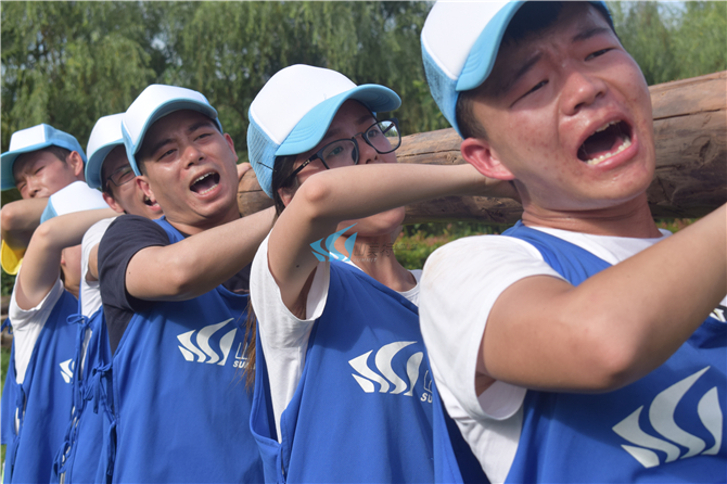 1559293094270325.jpg DSC_0249.jpg